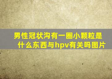 男性冠状沟有一圈小颗粒是什么东西与hpv有关吗图片