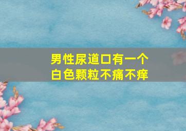 男性尿道口有一个白色颗粒不痛不痒