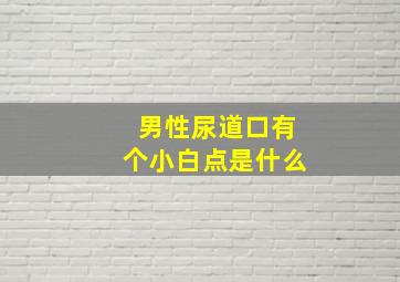 男性尿道口有个小白点是什么