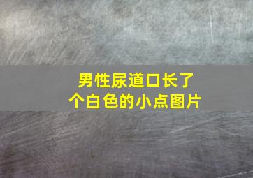 男性尿道口长了个白色的小点图片