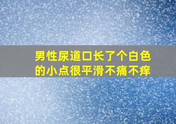 男性尿道口长了个白色的小点很平滑不痛不痒