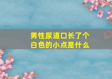 男性尿道口长了个白色的小点是什么