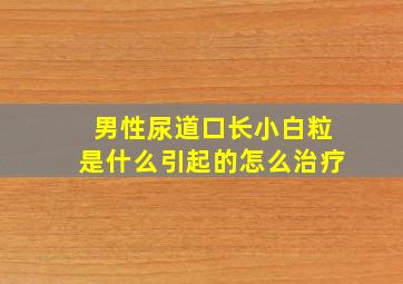 男性尿道口长小白粒是什么引起的怎么治疗