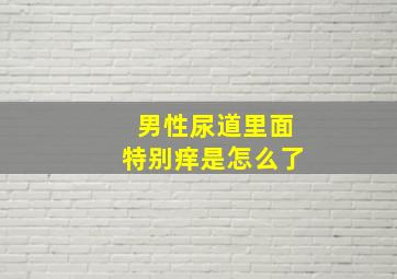 男性尿道里面特别痒是怎么了