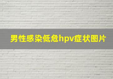 男性感染低危hpv症状图片