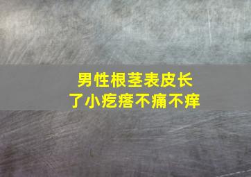 男性根茎表皮长了小疙瘩不痛不痒