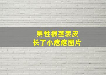 男性根茎表皮长了小疙瘩图片