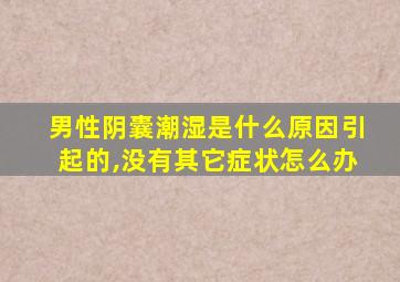 男性阴囊潮湿是什么原因引起的,没有其它症状怎么办