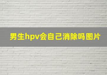 男生hpv会自己消除吗图片