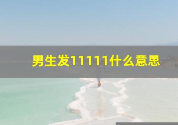 男生发11111什么意思