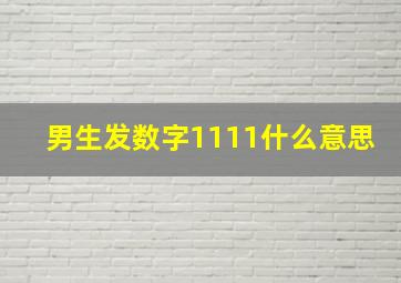 男生发数字1111什么意思