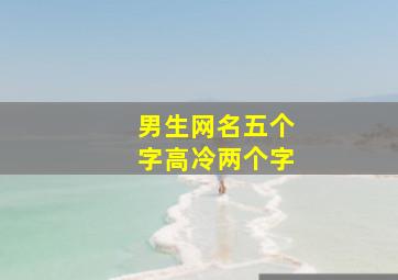 男生网名五个字高冷两个字