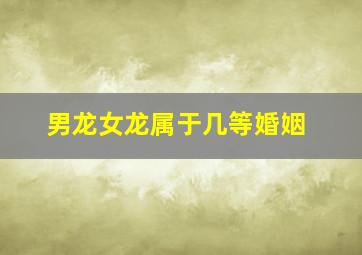 男龙女龙属于几等婚姻