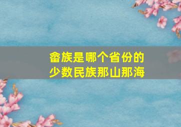 畲族是哪个省份的少数民族那山那海