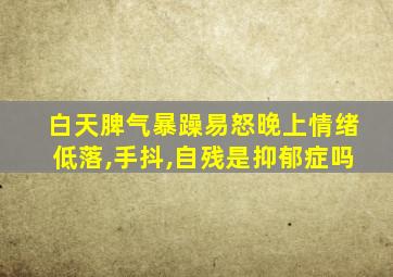 白天脾气暴躁易怒晚上情绪低落,手抖,自残是抑郁症吗