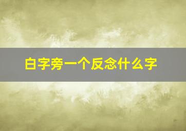 白字旁一个反念什么字