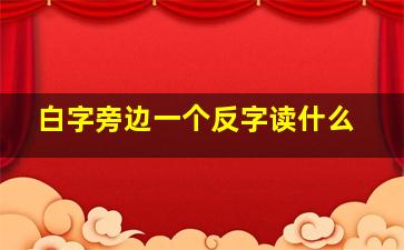 白字旁边一个反字读什么