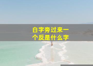 白字旁过来一个反是什么字