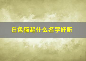 白色猫起什么名字好听