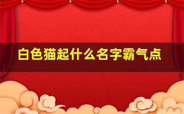 白色猫起什么名字霸气点