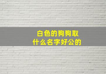 白色的狗狗取什么名字好公的