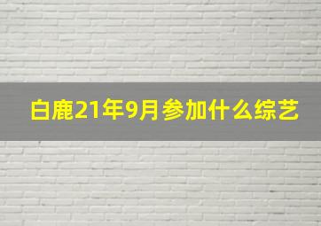 白鹿21年9月参加什么综艺