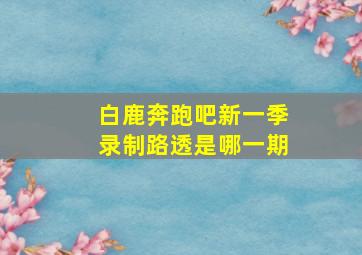 白鹿奔跑吧新一季录制路透是哪一期