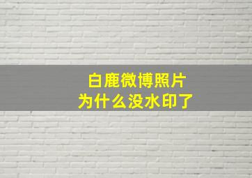 白鹿微博照片为什么没水印了