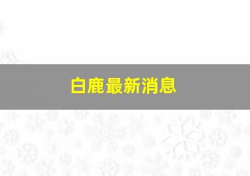 白鹿最新消息