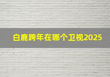 白鹿跨年在哪个卫视2025