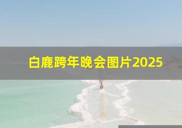 白鹿跨年晚会图片2025