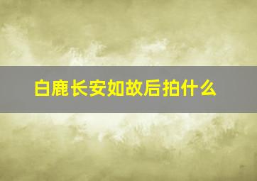 白鹿长安如故后拍什么