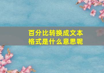 百分比转换成文本格式是什么意思呢