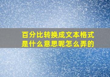 百分比转换成文本格式是什么意思呢怎么弄的