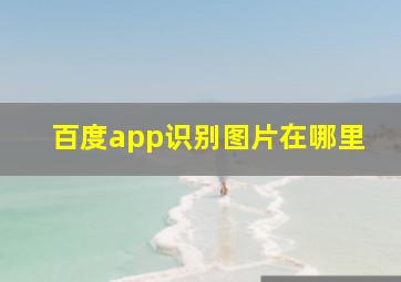 百度app识别图片在哪里