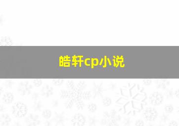 皓轩cp小说