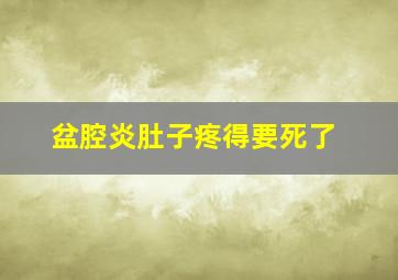 盆腔炎肚子疼得要死了