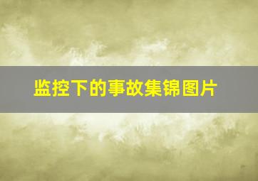 监控下的事故集锦图片