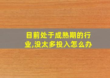 目前处于成熟期的行业,没太多投入怎么办