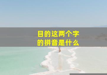 目的这两个字的拼音是什么