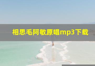 相思毛阿敏原唱mp3下载