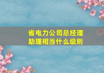 省电力公司总经理助理相当什么级别