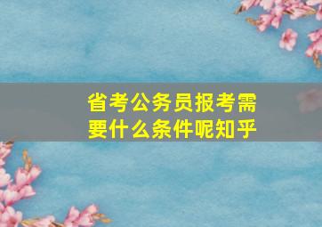 省考公务员报考需要什么条件呢知乎