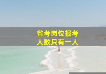 省考岗位报考人数只有一人