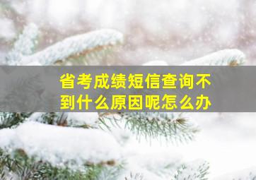 省考成绩短信查询不到什么原因呢怎么办