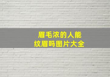 眉毛浓的人能纹眉吗图片大全