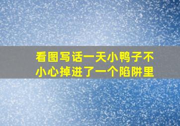 看图写话一天小鸭子不小心掉进了一个陷阱里