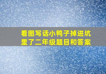 看图写话小鸭子掉进坑里了二年级题目和答案