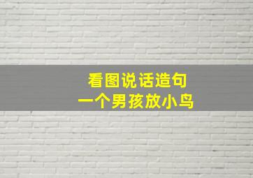 看图说话造句一个男孩放小鸟