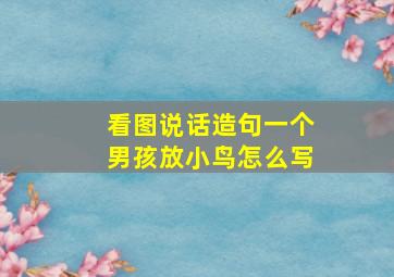 看图说话造句一个男孩放小鸟怎么写